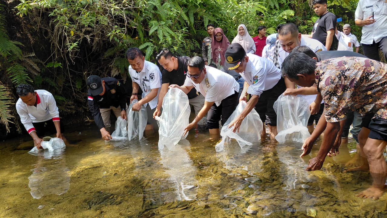 Mendampingi Dinas Kelautan dan Perikanan Provinsi Penyerahan Benih Ikan Kelompok Pokmaswas Lubuk Kas